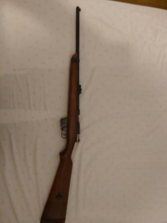 SE VENDE CARABINA DESTROYER 9MM LARGO, TOTALMENTE NUEVA, SE HA QUITADO PARTE DE LA MADERA DELANTERA COMO 02