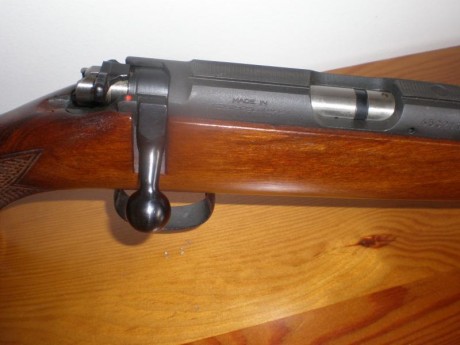 Vendo carabina BRNO 22 LR. con dos cargadores  1 de 5  y otro de 10. muy buen estado como nueva.
precio 00