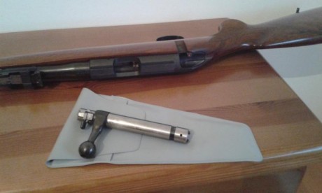 Vendo carabina BRNO 22 LR. con dos cargadores  1 de 5  y otro de 10. muy buen estado como nueva.
precio 11