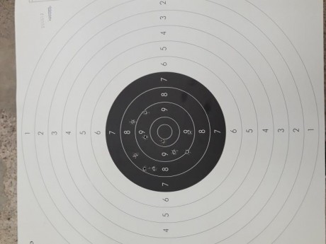 Después de adquirir por este foro esta preciosa Ruger Mark III, vi que no funcionaba muy bien y ya que 10