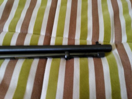 Vendo carabina semiautomática Remington 552 Speedmaster. Según Remington puede disparar sin interrupciones 10