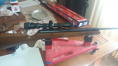 Saludos ayer puse a punto esta carabina para un chaval de 14 años y la verdad me lleve una grata impresion.El 10