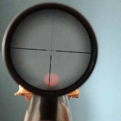 Buenas.
Pongo en venta este rifle por haberle buscado sustituto para las batidas y no quiero tenerlo almacenado 02