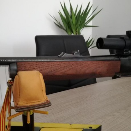 Buenas.
Pongo en venta este rifle por haberle buscado sustituto para las batidas y no quiero tenerlo almacenado 10