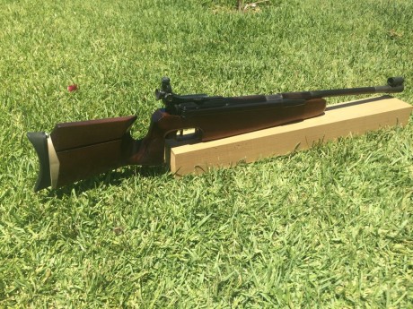 serapio escribió:
Buenas tardes, vendo Diana Modelo 75S completamente revisada, tiene muelles e sellos 02