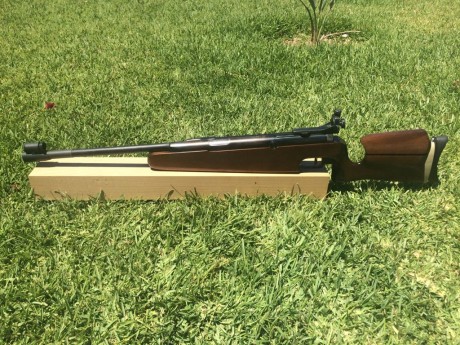 serapio escribió:
Buenas tardes, vendo Diana Modelo 75S completamente revisada, tiene muelles e sellos 01