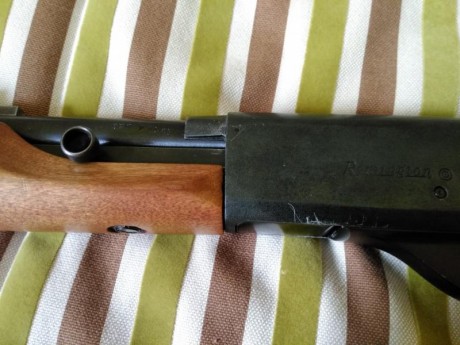 Vendo carabina Remington 552 Speedmaster. Se trata de un arma semiautomática con cargador tubular bajo 11