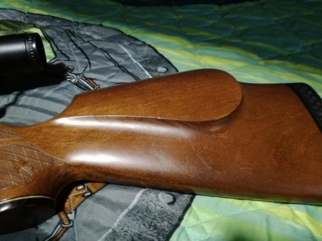 De madera esta muy bien, solo alguna ligera marca casi inapreciable.
En cuanto al pavón tiene alguna marca 00