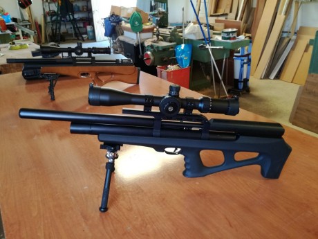 Hola a todos!!!

Despues de tener carabinas y pistolas de muelle o C02 cuando era mas joven, me ha vuelto 170