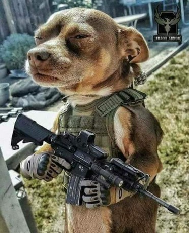 ¡Muy buenas a todos!

Estaba dando un paseo por el foro, cuando me he dado cuenta de que no había un hilo 20