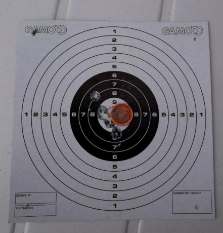 Hola compañeros hace tiempo que tengo una duda sobre estos dos rifles y no he encontrado nada con el buscador 10