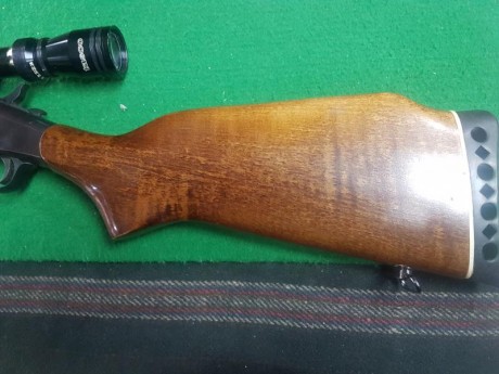 Se vende monotiro con pocos tiros ,por no usar,con bipode HARRYS y visor.Por no usarlo.

350 € 01