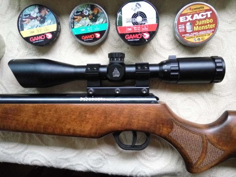 Vendo carabina por poco uso. Solo ha tirado cuatro cajas de balines, está como nueva, ni un arañazo. Comprada 00