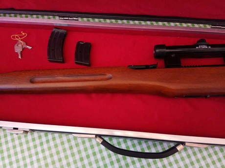 Hola a todos. 

Necesito un poco de ayuda para identificar esta carabina del 22lr y saber que valor aproximado 21