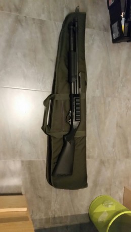 Vendo mi escopeta Stinger Tactical 1206 RXT,  con accesorios, porta cartuchos de 6 en la caja de mecanismos, 00