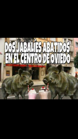 Pues eso, que nos invitaron a decir aquí lo mierda que es el 30-06...

https://www.armas.es/foros/conversacion-general/se-sabe-algo-de-jabali-viejo-1041988

Yo 50