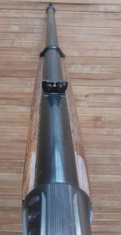 Compañero del club quiere vender su miroku por no uso
esta en la provincia de Alicante,donde se puede 21