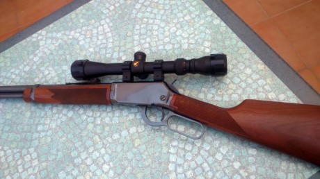 Un compañero y amigo del club vende un rifle Winchester calibre 22LR, está, como se puede apreciar en 21