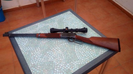 Un compañero y amigo del club vende un rifle Winchester calibre 22LR, está, como se puede apreciar en 20
