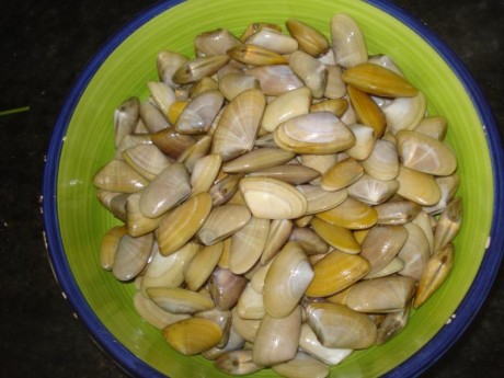 Este es un llamamiento para los foreros de Cantabria que no tenemos el gusto de conocernos en persona, 70