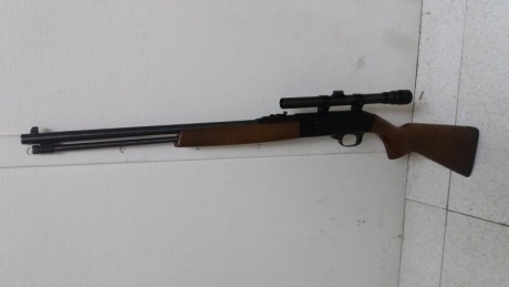 Hola, va con la mira y una funda. 150€ portes aparte
cualquier duda llamar al 607253819
la carabina esta 01