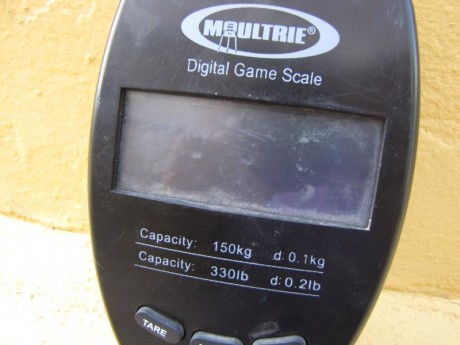 vendo peso digital moultrie, con capacidad de peso de hasta  150 kilos. precio 18 euros con envío incluido. 01