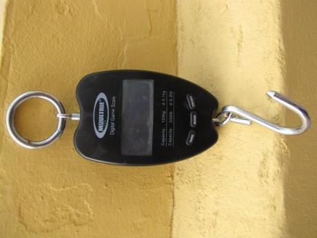 vendo peso digital moultrie, con capacidad de peso de hasta  150 kilos. precio 18 euros con envío incluido. 00