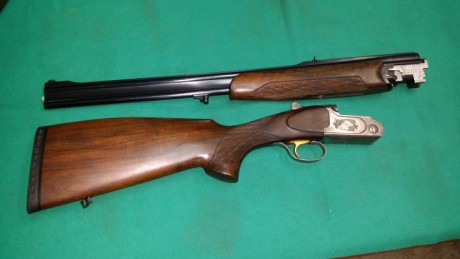 Vendo express bettinsoli del calibre 9,3 x74 en muy buen estado ,con su maletín original, 1200 €. Sólo 01