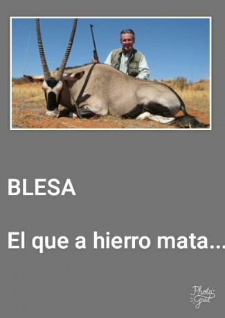 Se habla de suicidio, un tiro el el pecho con una escopeta de caza. En una finca en Córdoba.

https://politica.elpais.com/politica/2017/07/19/actualidad/1500453072_589850.html
https://www.elconfidencial.com/empresas/2017-07-19/muere-miguel-blesa-bankia-caja-madrid_1417511/
https://www.larazon.es/economia/miguel-blesa-hallado-muerto-en-una-finca-de-cordoba-HA15628249 141