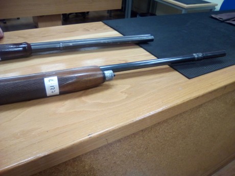 Se venden dos escopetas por dejar de cazar
Repetidora Benelli Cal. 12
Superpuesta Corzo Cal.12
Con fundas 22