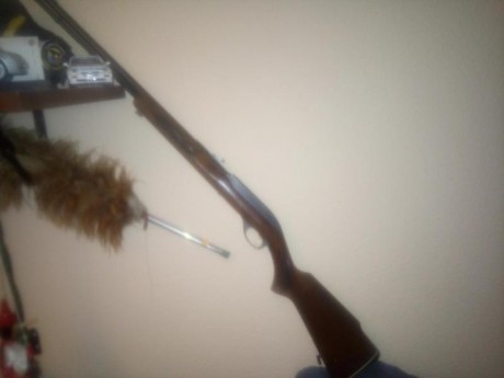 Esta carabina fue un antojo y es semiautomatica va muy bien la vendo por 200€si tuviera que mandarla hablariamos 21