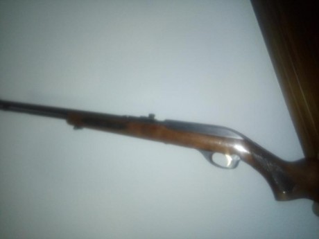 Esta carabina fue un antojo y es semiautomatica va muy bien la vendo por 200€si tuviera que mandarla hablariamos 20