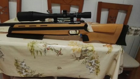 Pues eso.cambio culata anschutz 1907  color madera .por culata anschutz 1813 ( sin accesorios ni rabera 00