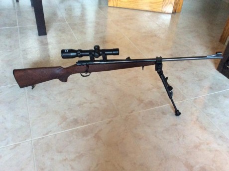 Vendo rifle de precisión zastava 22lr que pasa por nuevo. Si llegamos a un acuerdo, podría entregar con 31