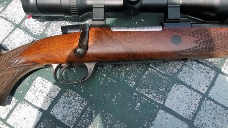 Buenas tardes, busco rifle de cerrojo en buen estado. El presupuesto que tengo es de 1100 con monturas 121