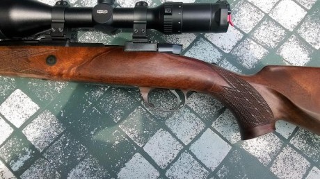 Buenas tardes, busco rifle de cerrojo en buen estado. El presupuesto que tengo es de 1100 con monturas 120