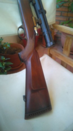 Un compañero de caza me ha pedido que le anuncie este Santa Barbara.

Calibre 30—O6 con monturas Appel 00