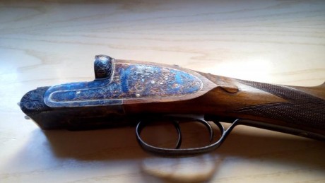 Hola.Voy haciéndome algo mayor y llevo tiempo que no salgo a la caza menor.
He ido quitándome las armas 01