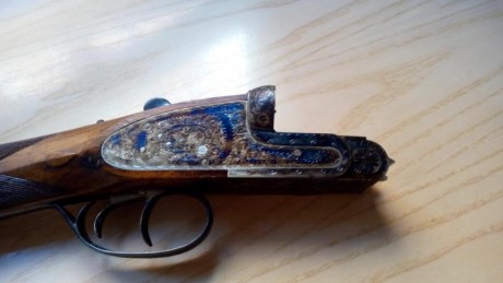 Hola.Voy haciéndome algo mayor y llevo tiempo que no salgo a la caza menor.
He ido quitándome las armas 00