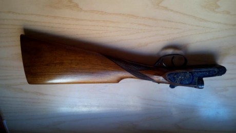 Hola.Voy haciéndome algo mayor y llevo tiempo que no salgo a la caza menor.
He ido quitándome las armas 12