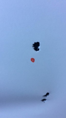 Vendo este fenómeno de precision. Tiene alrededor de 450 tiros. Creo q es de los mejores q han llegado.
Lleva 91