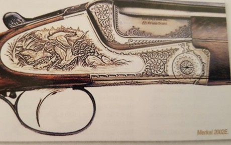 Cambio escopeta Merkel mod. 2002E por rifle o conjunto rifle visor que me pueda encajar.
El motivo del 01