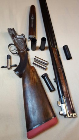 Cambio escopeta Merkel mod. 2002E por rifle o conjunto rifle visor que me pueda encajar.
El motivo del 10