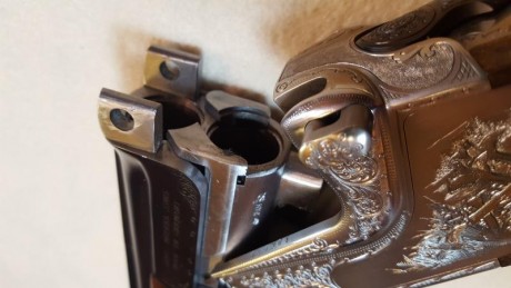 Cambio escopeta Merkel mod. 2002E por rifle o conjunto rifle visor que me pueda encajar.
El motivo del 20