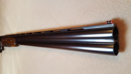Cambio escopeta Merkel mod. 2002E por rifle o conjunto rifle visor que me pueda encajar.
El motivo del 30