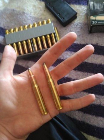 Pues eso, que nos invitaron a decir aquí lo mierda que es el 30-06...

https://www.armas.es/foros/conversacion-general/se-sabe-algo-de-jabali-viejo-1041988

Yo 10