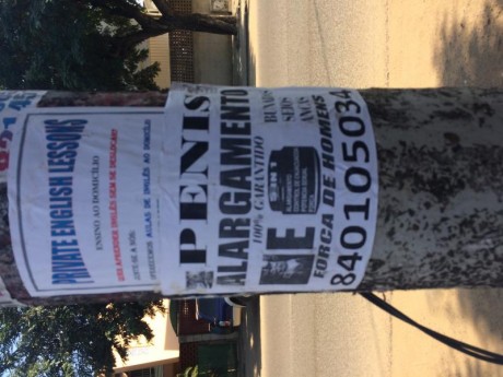 ¡Muy buenas a todos!

Estaba dando un paseo por el foro, cuando me he dado cuenta de que no había un hilo 100