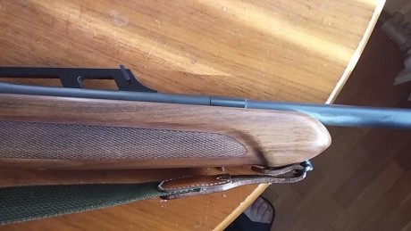 Tengo desde hace tiempo guiado a mi nombre el rifle de un amigo porque dejo de cazar. Me pide que por 40