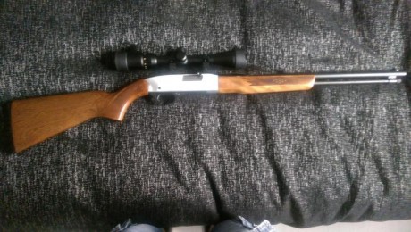 Vendo carabina winchester modelo 190 con visor 3-9x40 de regalo, se encuentra en Palencia y su precio 00