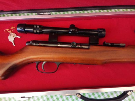 Hola a todos,

vendo esta carabina del calibre 22lr. Es una carabina semiautomática de la marca alemana 21